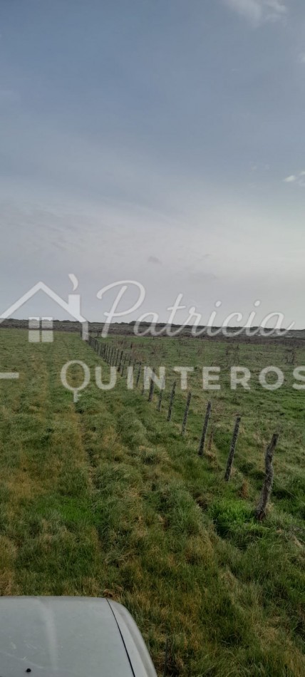 Campo Udaquiola